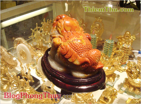 Thiềm Thừ Ngọc Hoàng Long Tam Thể từ Tân Cương Hồng Kông tại ThiemThu.com - Shop Thiem Thu