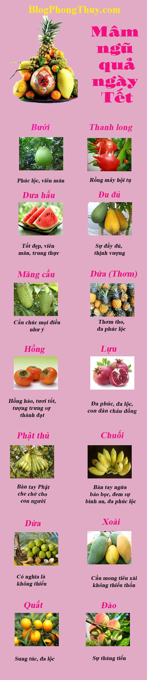 Ý nghĩa một số loại trái cây trong mâm ngũ quả ngày Tết