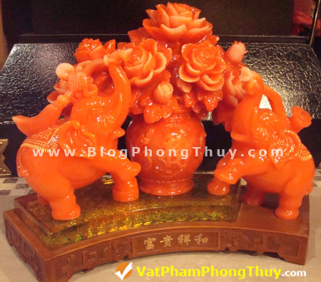 3 gioi hoa mau don va cap voi Hoa Mẫu Đơn Phong Thủy, biểu tượng của phú quý, tình duyên