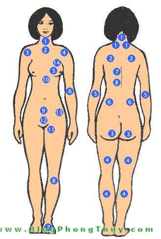 Xem nốt ruồi trên thân thể phụ nữ (mặt trước)