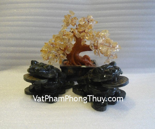 coc-lam-ngoc-nho-m041