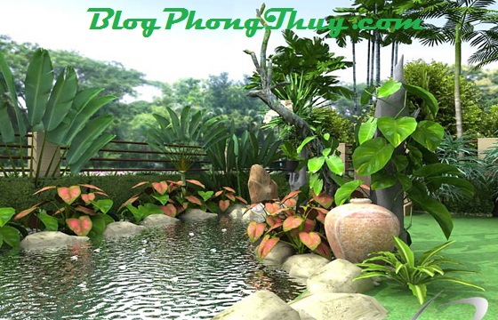 AO CA NHO TRUOC NHA1