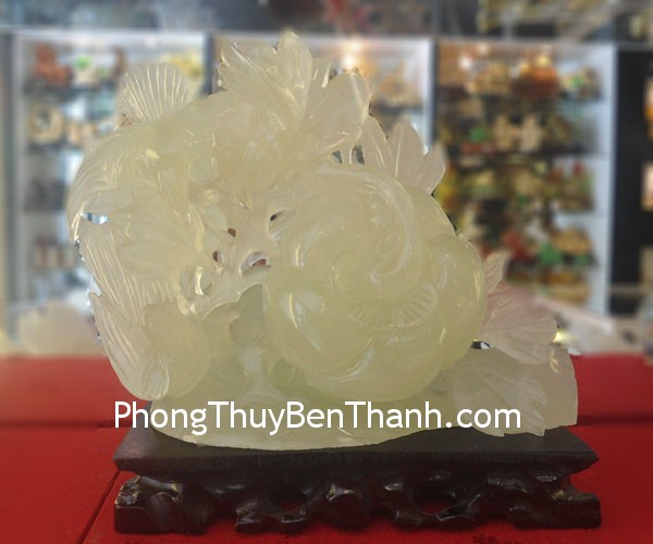 qua-bi-ngo-thanh-ngoc