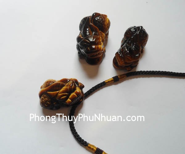 ty-huu-mat-meo-vay-rong-S931-2