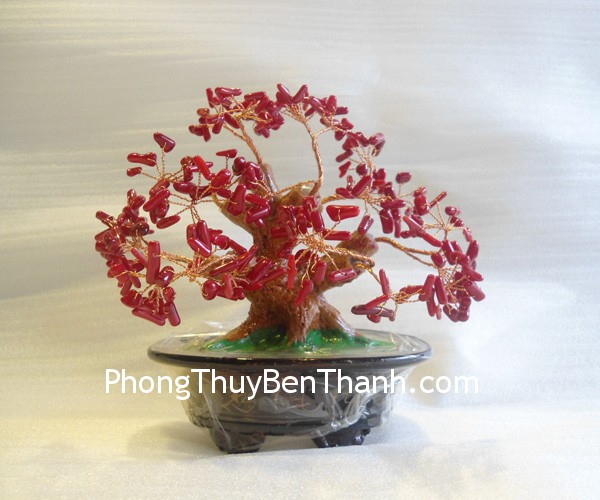 cay tai loc ca2231 Xem bói ngày: Thứ hai của bạn 28/4/2014