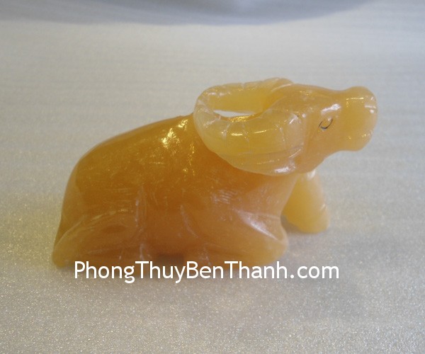 trau hoang long m116 2 Tử vi hàng tháng: Tháng 4/2014 của bạn