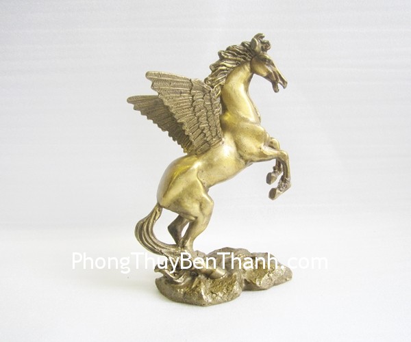 d146-ngua-dong-co-canh