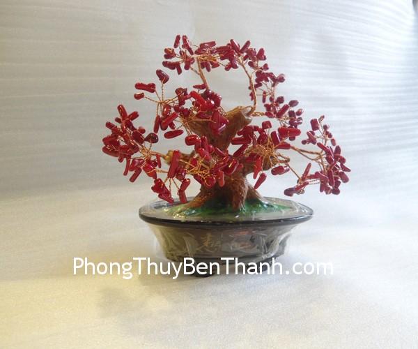 cay tai loc ca223 02 Xem bói ngày: Thứ năm của bạn 12/6/2014