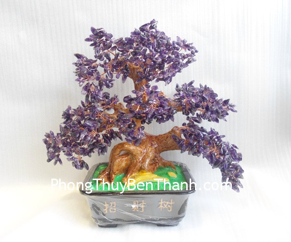 cay thach anh tim lon CA255 021 Xem bói ngày: Thứ bảy của bạn 28/6/2014