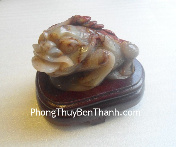 coc hoang long tt hl 4179 2 Xem bói ngày: Thứ tư của bạn 18/6/2014