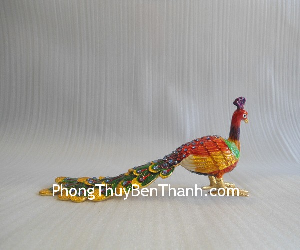 chim cong a174 Xem bói ngày: Chủ nhật của bạn 05/10/2014
