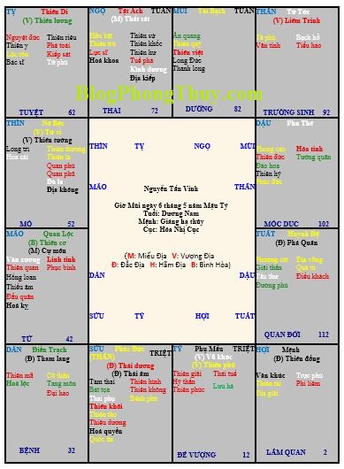 LÁ SỐ TỬ VI MẬU TÝ