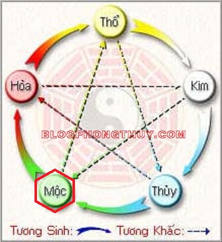 kim-moc-thuy-hoa-tho3