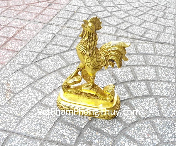 d247-ga-dong-nhu-y-lon-2