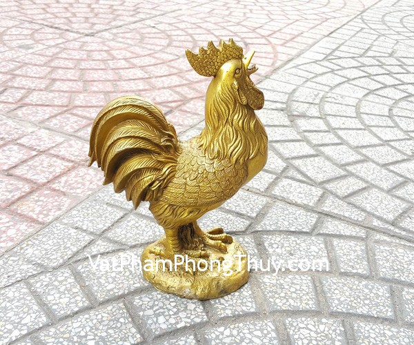 d251-ga-dong-dung-trung-1