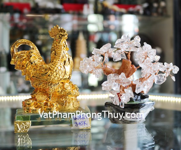 wkc061-cay-thach-anh-trang