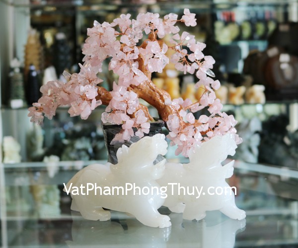 bn06-ty-huu-bach-ngo