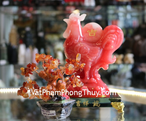 kc062-cay-ma-nao-sieu-nho