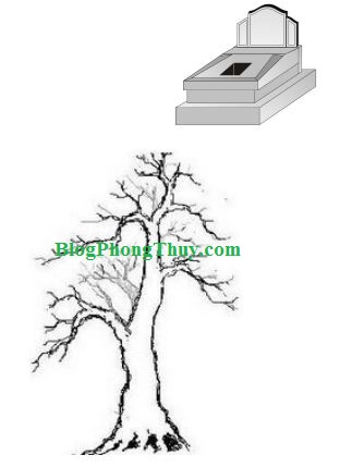 cây khô trước mộ