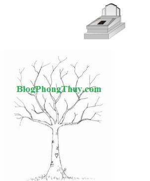 cây khô trước mộ1