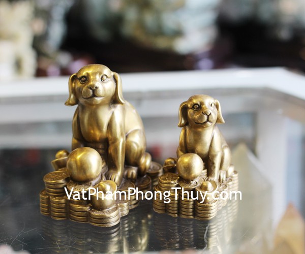 d275-cho-dong-size-trung-2