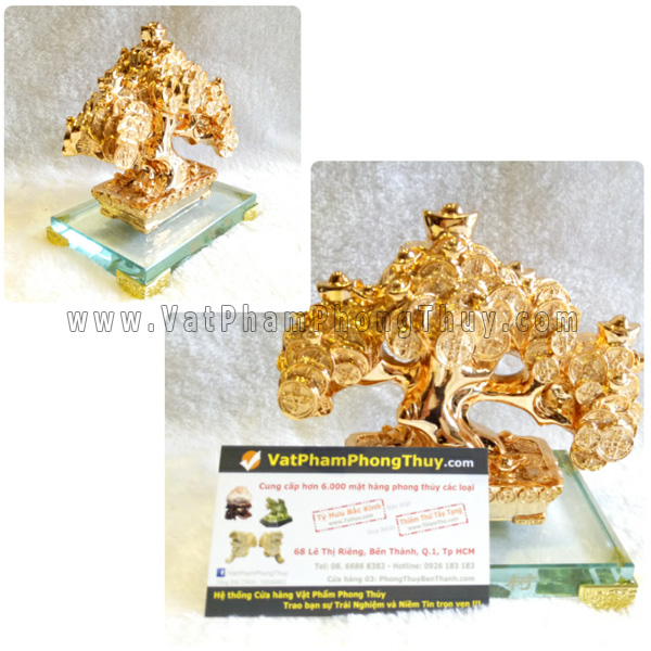 Xem bói ngày: Thứ tư của bạn 20/09/2017 cay tai loc 2 Xem bói ngày: Thứ tư của bạn 20/09/2017