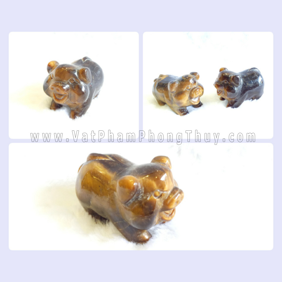 heo H077 Xem bói ngày: Thứ hai của bạn 11/09/2017