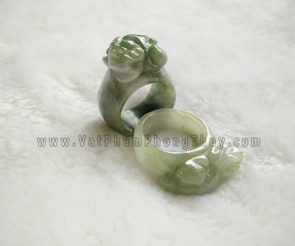 nhan-ty-huu-phi-thuy-1