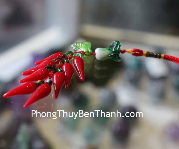 s6312 ngoc boi chum ot Xem bói ngày: Thứ bảy của bạn 23/09/2017