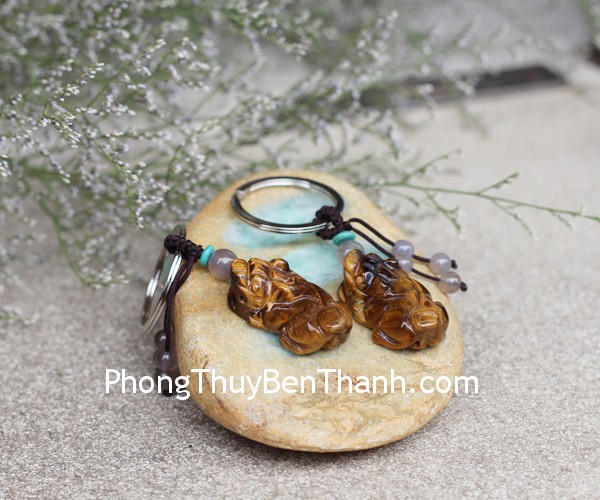 s6418-moc-khoa-ty-huu-mat-meo-1