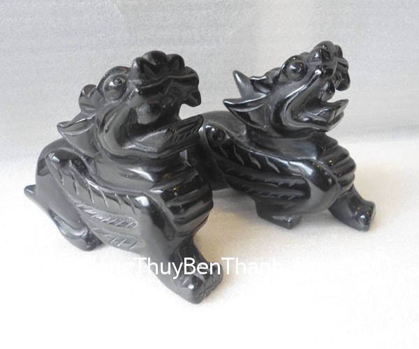 HM010-Ty-huu-hac-nga-1