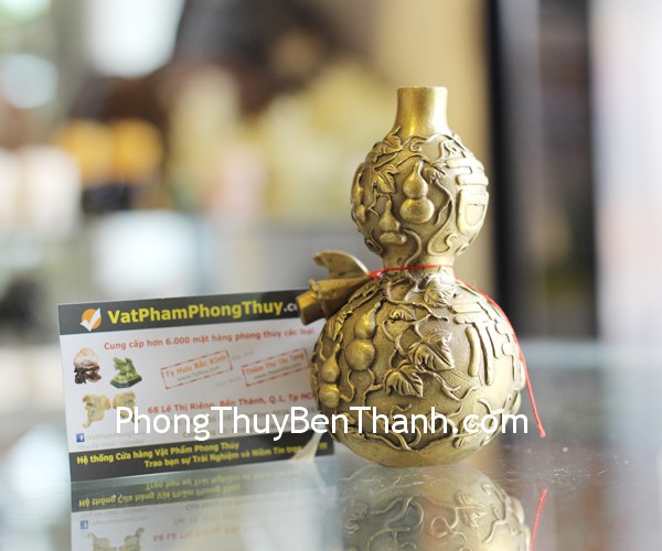 d260-ho-lo-cham-ho-lo-2