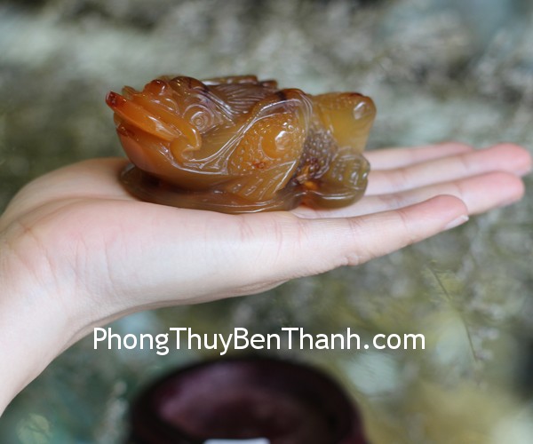 TT-NT-1417-coc-ngoc-tuy-2