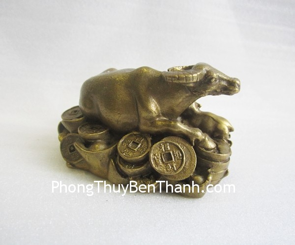 d156 trau dong Tử vi hàng tuần: Tuần mới của bạn từ 27/11/2017 đến 03/12/2017