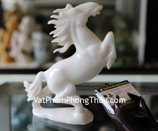 hm114 bach ma 11 Xem bói ngày: Thứ ba của bạn 14/11/2017