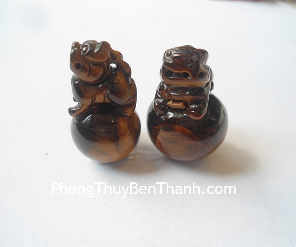 s6204-ty-huu-mat-meo-tren-cau-2