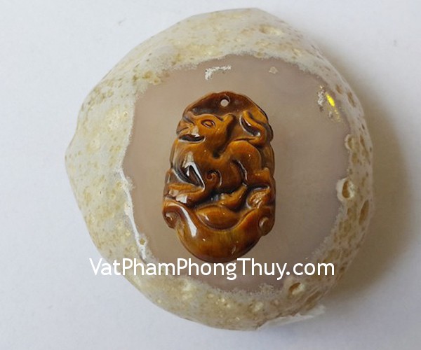 s6286-11-12-giap-mat-meo-nho-2-tuat