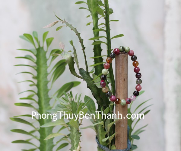 s6376 s3 8514 chuoi hong luc bao A 1 Xem bói ngày: Thứ hai của bạn 18/12/2017