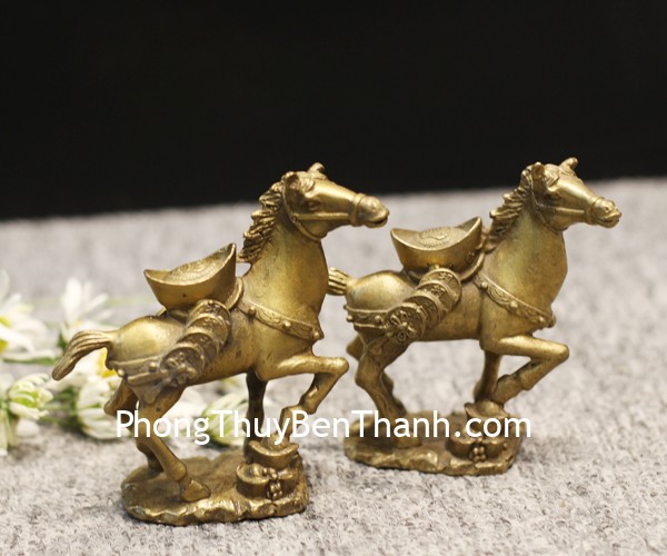 d143-ngua-dong-cong-vang