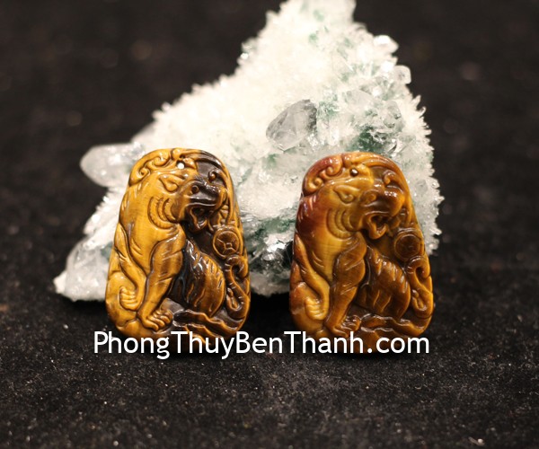 s6721-mat-ho-mat-meo-1