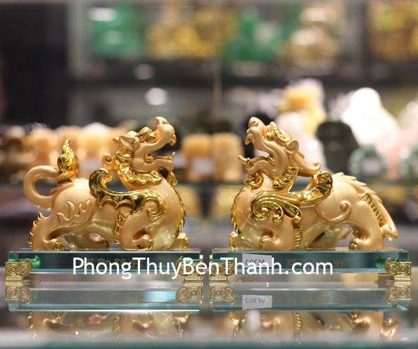 c053a-cap-ty-huu-vang