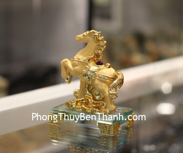 c212a-7-ngo-sa-kim-2