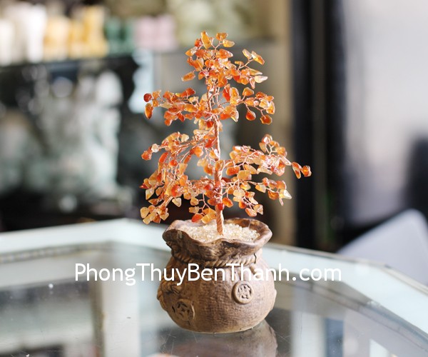 kc097-cay-tai-loc-tui-tien-da-ma-nao