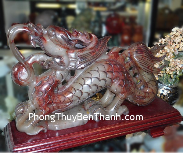 rong-tieu-ngoc-nha-chau