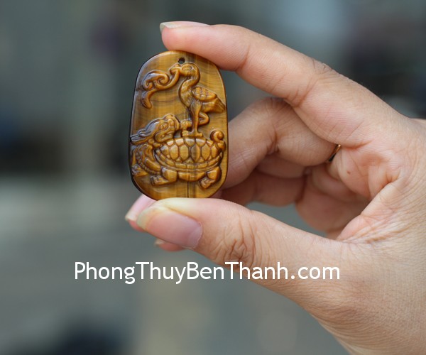 s6486-mat-long-quy-cong-hac-mat-meo-2