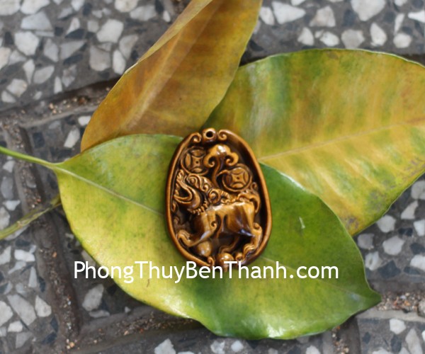 s6723 ty huu khuyen mat meo 1 Xem bói ngày: Thứ sáu của bạn 11/05/2018