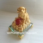 12-giap-vang-cho-e329-1