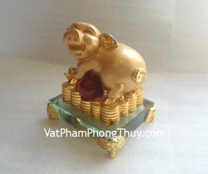 12-giap-vang-heo-e329-2