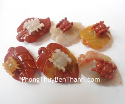 Hoang-long-tam-the-nhen-02