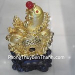 ca-bon-tu-bao-y174-01